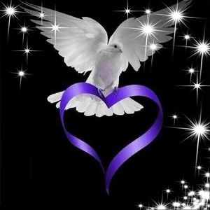 Meet your Posher, Darcy